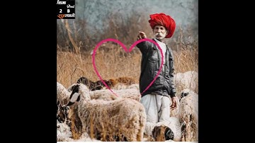 Rajasthani Status। Rajput Status King। full screen Status। royal rajput Banna Banni Status RJ STATUS