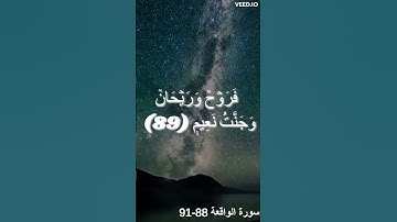 القارئ صلاح مصلي | تلاوة خاشعة