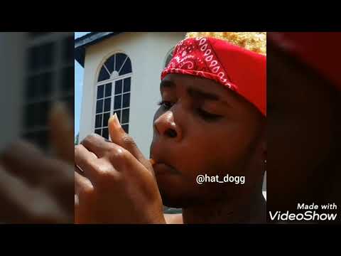 Hat_dogg vines