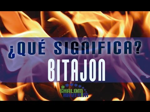 ¿Qué significa Bitajon? #JUDEOCLIP - center for reproductive rights