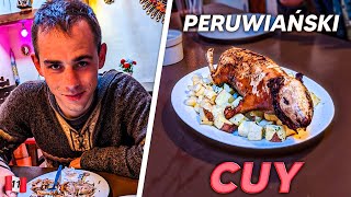 CUY - TAKA ŚWINIA Z AMERYKI - PERU#11