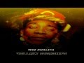 Wiz Khalifa - Yellow Starships (feat. Rick Ross Drake & Cory Gunz) [Yellow StarShips]