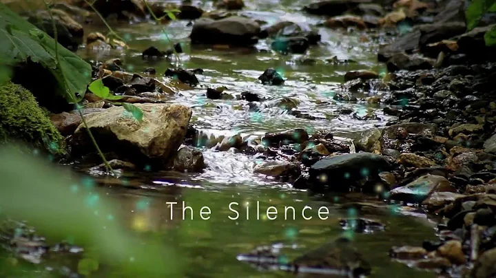 The Silence - A Poem from Love and Loss and Dreams...