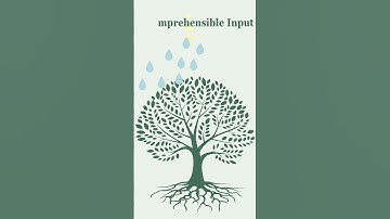 How Language Acquisition Works | Comprehensible Input & Mental Representation