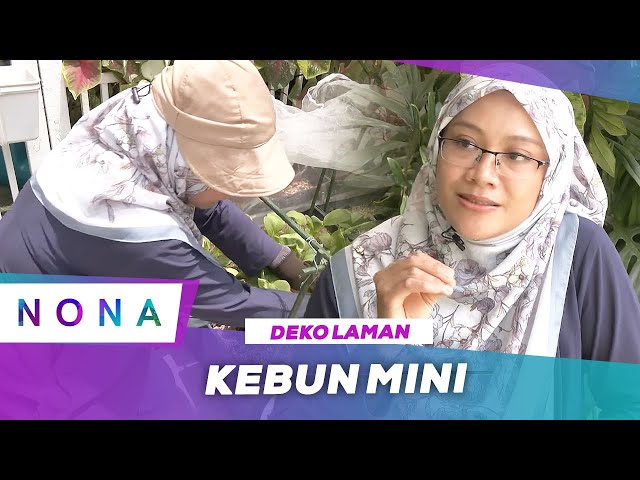 Deko Laman: Kebun Mini | Nona (3 Sep 2023) class=