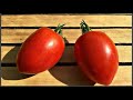 Коллекционные сорта томатов для посевного сезона 2021 Часть-3.