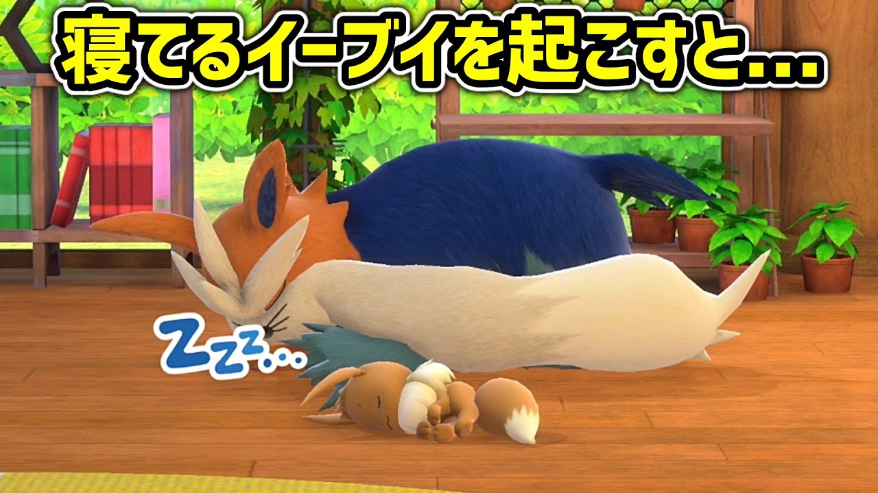 Estadisticas En Youtube Para El Video ベースキャンプでポケモンの可愛い所を一気に見ていくツアー Newポケモン スナップ ネイムの撮影記録 Noxinfluencer