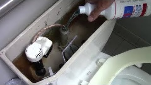 Slow Flushing Toilet? Quick and Inexpensive Cure With Delimer