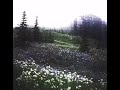 Ptite Soeur &amp; Neophron Type Beat ~ ALPRAZ