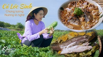 Cá Lóc Sình chưng tương, nướng lá nghệ, món ngon dân dã mùa hè #197 | Soy-Steam Snakehead