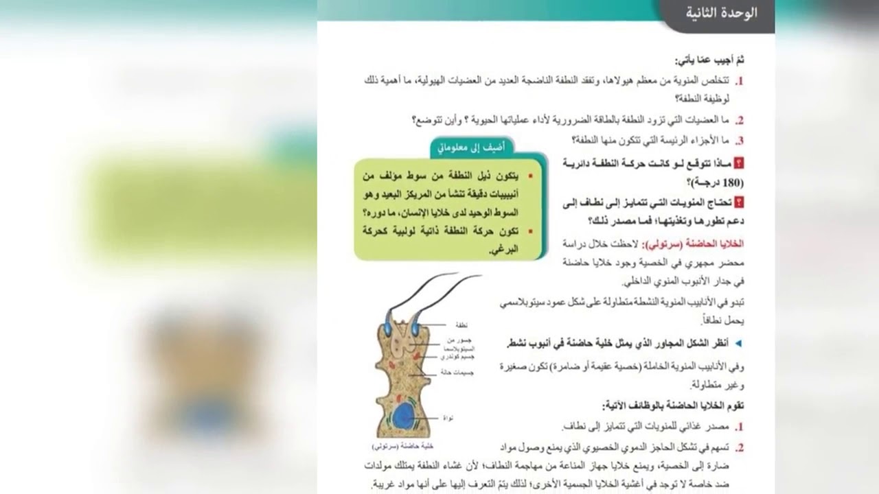 بكالوريا علوم . . تتمة درس تشكل النطاف وأهميتها. . أ. نضال أقجه🧠💯