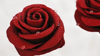Valentine chocolate rose