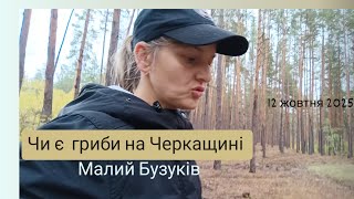 :             life vlog 