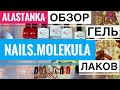 Обзор Гель лаков Nails MOLEKULA 11 мл Рекомендую! NAILS MOLEKULA 9D CATS EYE 6 мл МОЛЕКУЛА