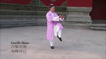 太乙五行拳：les  5 premiers mouvements