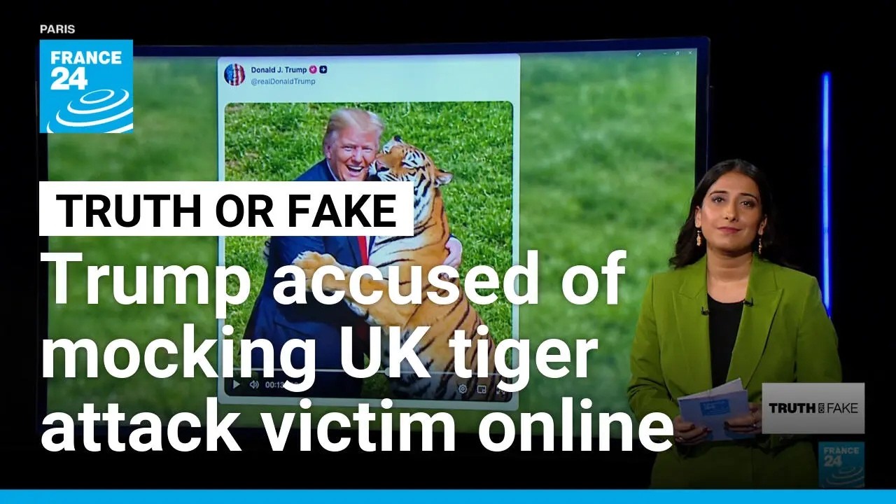 Trump sparks outrage over AI tiger video after sharing footage of fatal UK attack • FRANCE 24