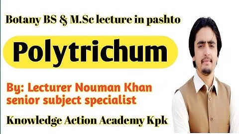 Polytrichum - General introduction, gametophytes and sporophytes generation lecture in pashto