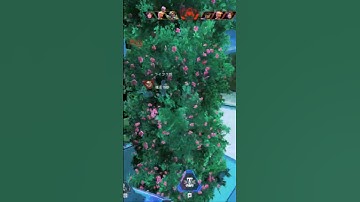 裏取りは弱い Taking back is weak.　【APEX】#shorts