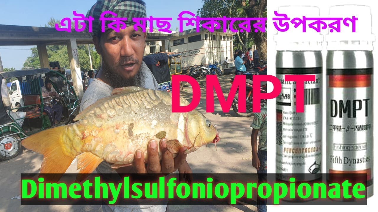 DMPT fishing powder//ডি এম পি টি আসলে কি কাজ করে?//DMPT থেকে কি সাবধান  থাকবো// RFHG//Fast part 