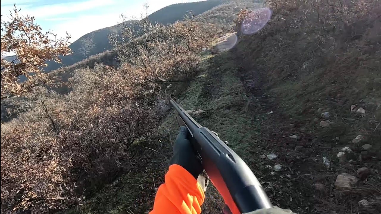 ÇULLUK AVI #beccaccia #çulluk #hunting #woodcock - YouTube