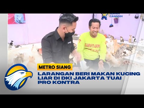 Video: Bagaimana Mencampakkan Anjing Dingin