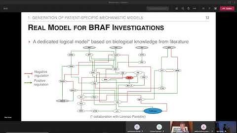 Mechanistic modeling of signaling pathways in cancer and the interpretation of models by Jonas Beal
