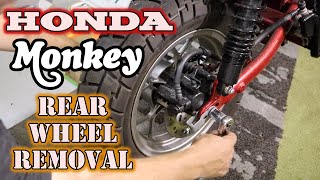 Honda Monkey Rear Wheel Removal