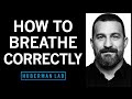 How to Breathe Correctly for Optimal Health, Mood, Learning &amp; Performance | Huberman Lab Podcast