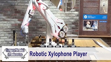 Robotic Xylophone player at Children