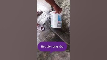 Bột tẩy rong rêu an toàn - hiệu quả - nhập khẩu 💯