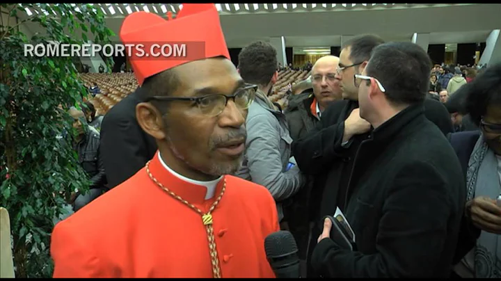 Cardinal Gomes Furtado: I must do my best for the ...