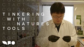 Tinkering with Nature’s Tools: The CRISPR Pioneer Feng Zhang