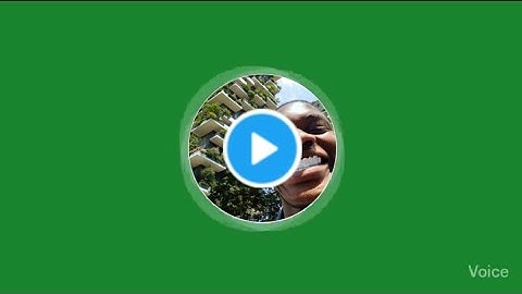 How to make the Twitter Vn on Android with your phone