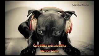 Marshal Music - Čarodějka srdc zlodějka