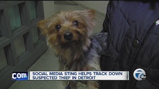 Social media sting helps track down suspected thief in Detroit