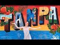 Top things to do in Tampa Bay  Florida travel guide - YouTube