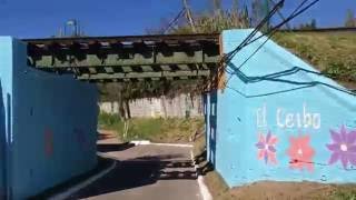 Service Learning Week 2016 - El Ceibo - Completed Project