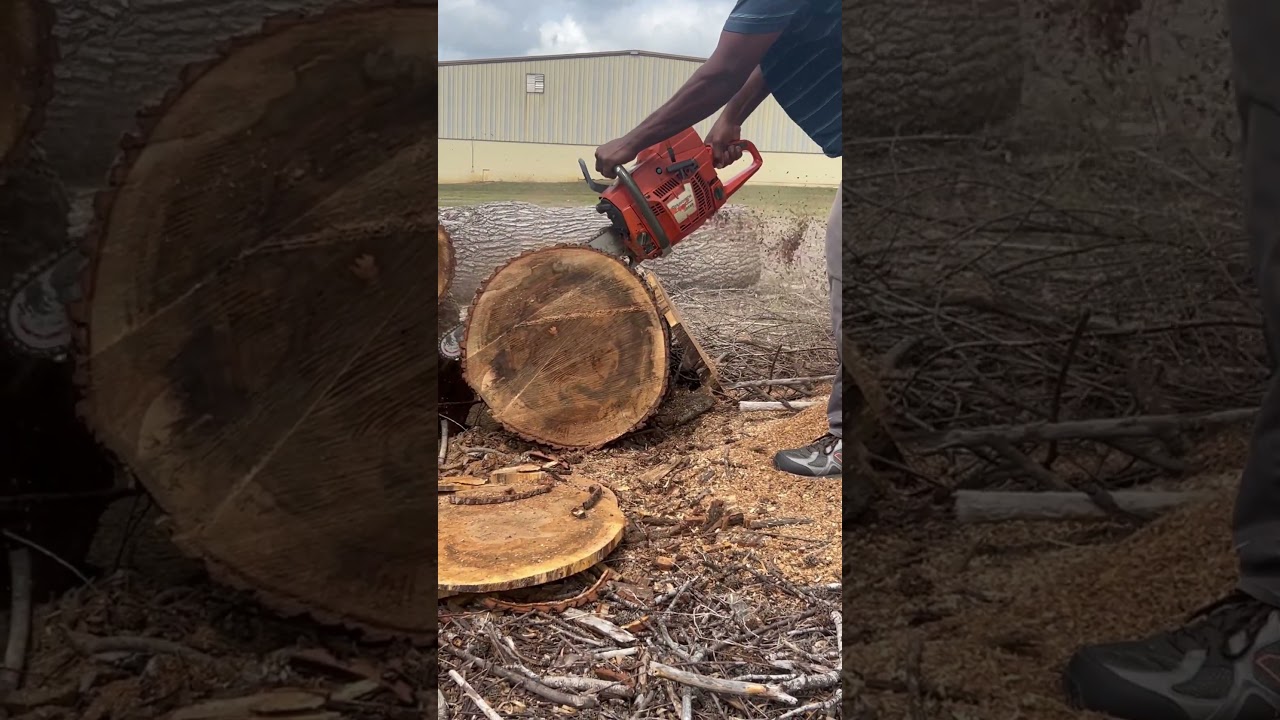 Husqvarna 395 XP logging saw