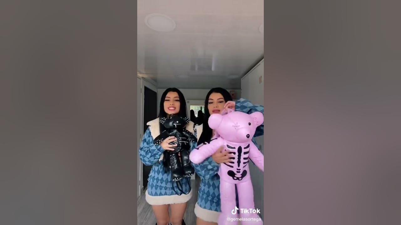 Gemelas Ortega Tag De Los bolsos 👜 Tik Tok Nuevos 2022 💘 - YouTube