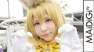 コミケコスプレ「けものフレンズ」サーバル　耳もしっぽも手作り「コミケ92」