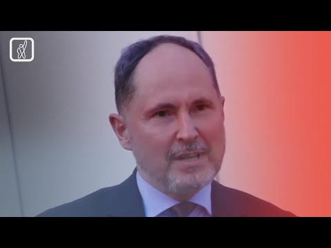 ევროკავშირის წევრი ქვეყნების ელჩების დემარში