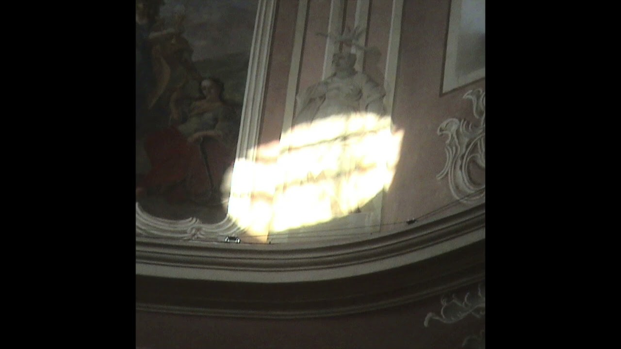 Taxidermy - You Are Here Now