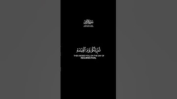 إنك ميت وإنهم ميتون شاشة سوداء | #سورة_الزمر بصوت الشيخ #ماهر_المعيقلي حالات واتس