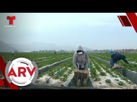 Coronavirus: Gobierno de