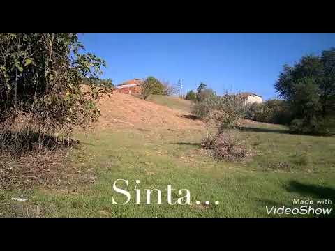 Propriedade Outeiro da Corti&ccedil;ada     Rio Maior