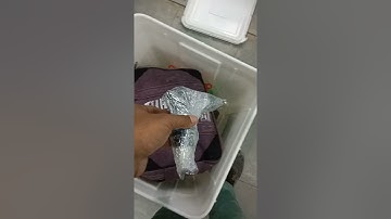 1+3 bottling plant timer base machine packing video serial number 501