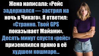 видео: Жена написала: «Рейс задержался — застрял на ночь в Чикаго». Я ответил: «Твой GPS показывает Майами» картинка: Жена написала: «Рейс задержался — застрял на ночь в Чикаго». Я ответил: «Твой GPS показывает Майами»