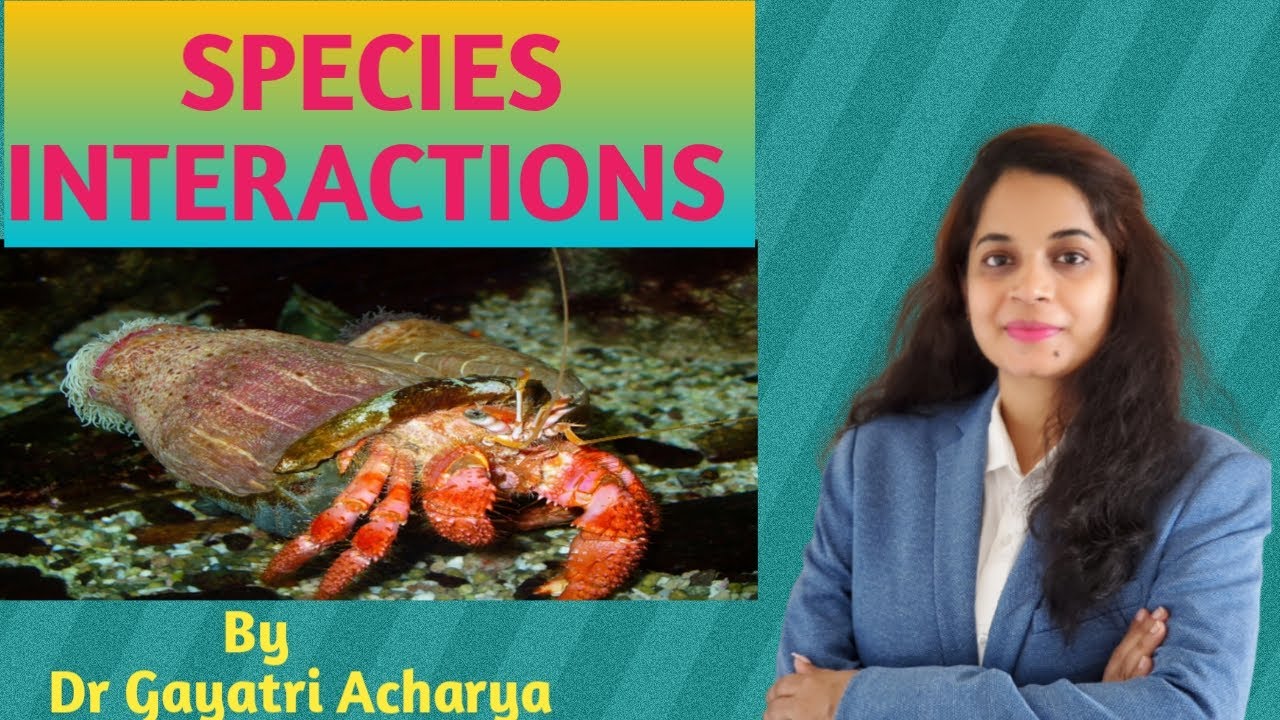 SPECIES INTERACTIONS/ By Dr Gayatri Acharya - YouTube