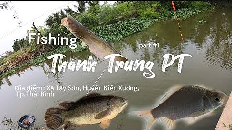 Điểm Câu Cá Sông Tự Nhiên Lý Tưởng Tại Thái Bình| Fishing | Thành Trung PT