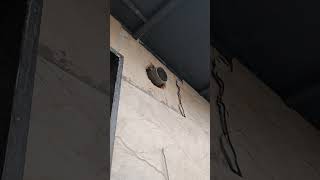 all types of construction work in building construction like women work stone work tile work popwork